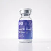 NAD+ 